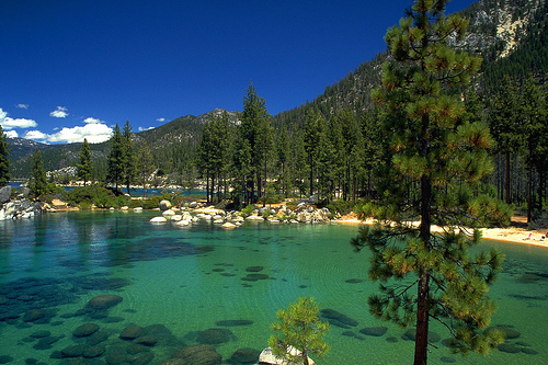 Tahoe Views